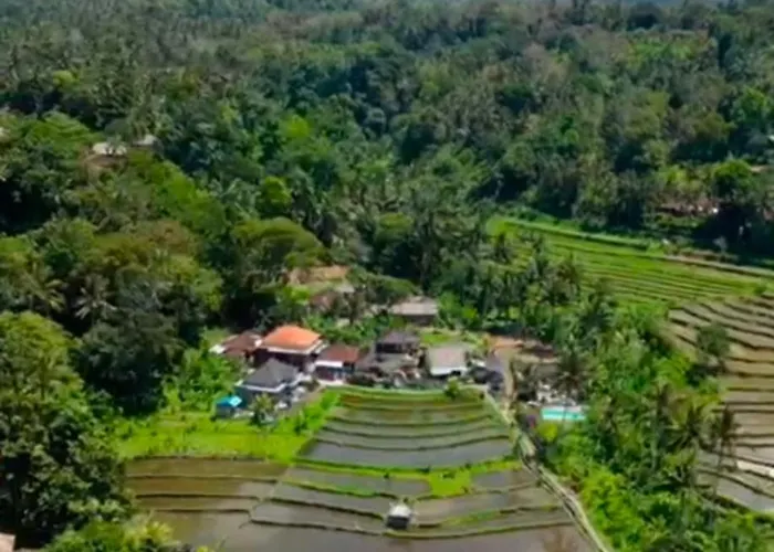 Dau * Karangasem