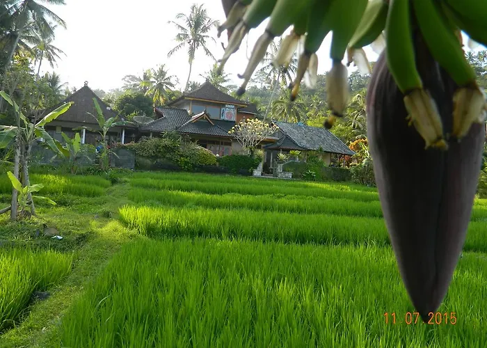 Dau Karangasem